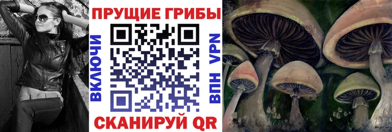 Галлюциногенные грибы GOLDEN TEACHER  Электросталь 